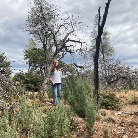 Rare Cypress Threatened by Fire with Kyle Merriam - logo